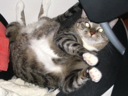 Ethel means 'graceful' in some languages.