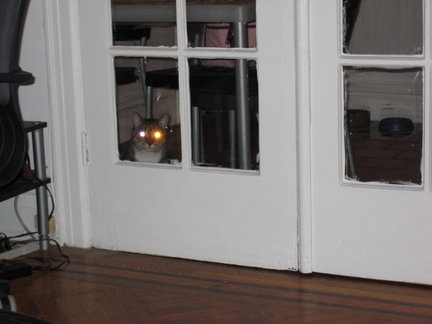 Help! I've been locked out! Let me in, please. I promise to behave.