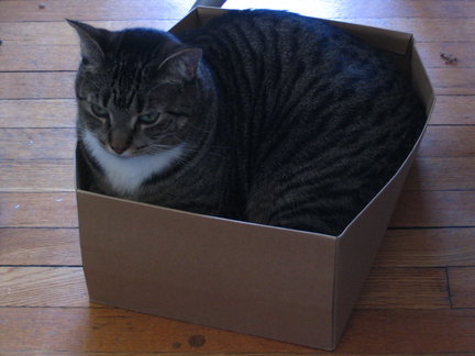 Boxes are fun.