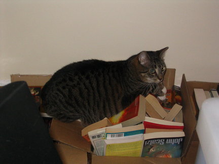 Books!