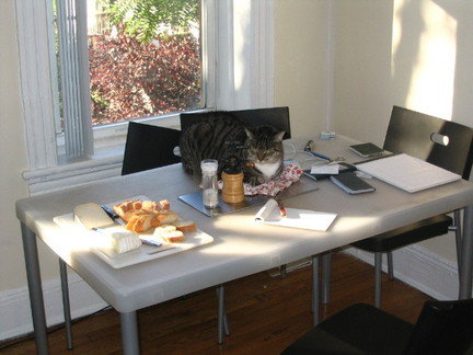 Tabbies make wonderful centerpieces.