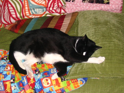 Can't talk now. Napping.