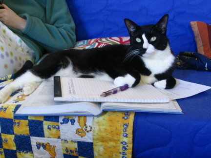 Yeah, so I was doing the math and I realized that I just don't get fed enough bacon.
