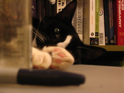 Monty!