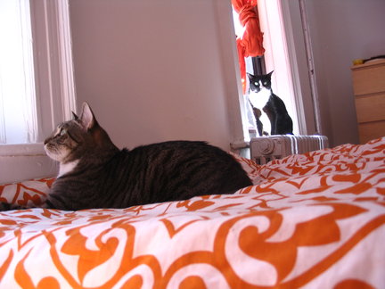 More birdwatching.