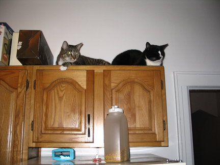 The joys of cabinetry.