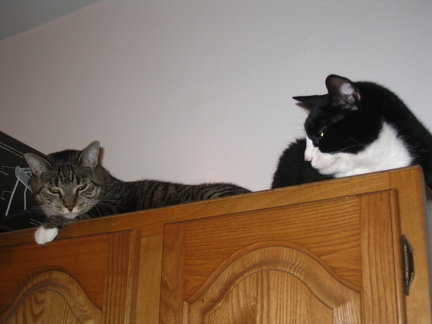 More joys of cabinetry.